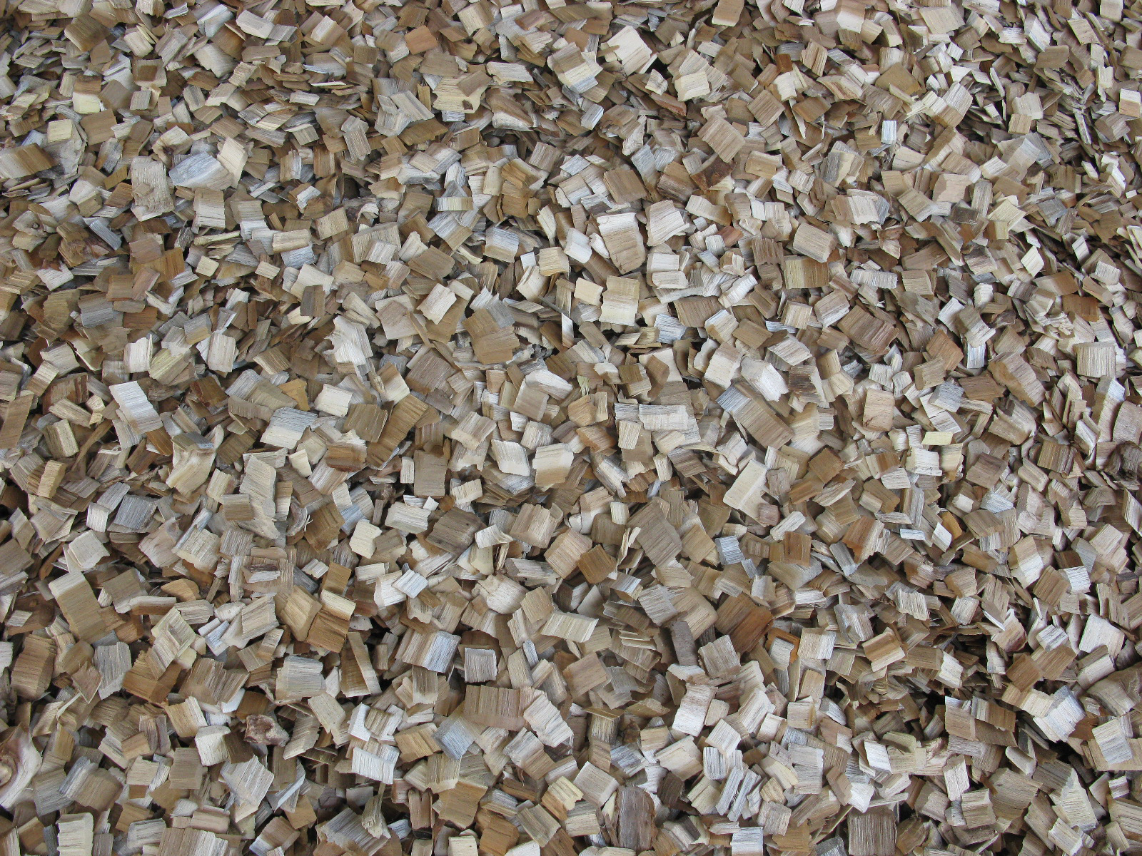 Acacia Woodchips